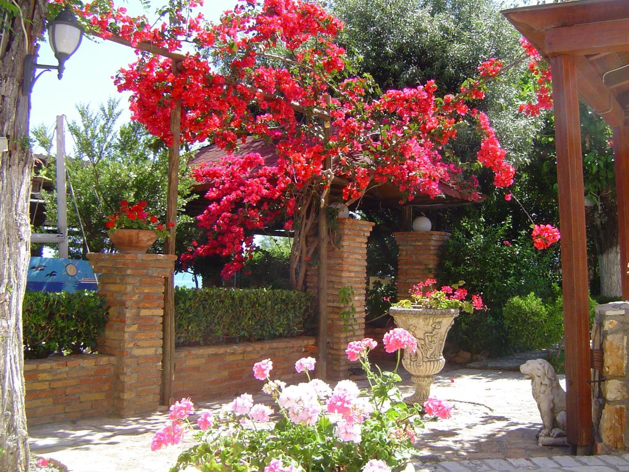 Castella Beach Hotel Alissos Buitenkant foto